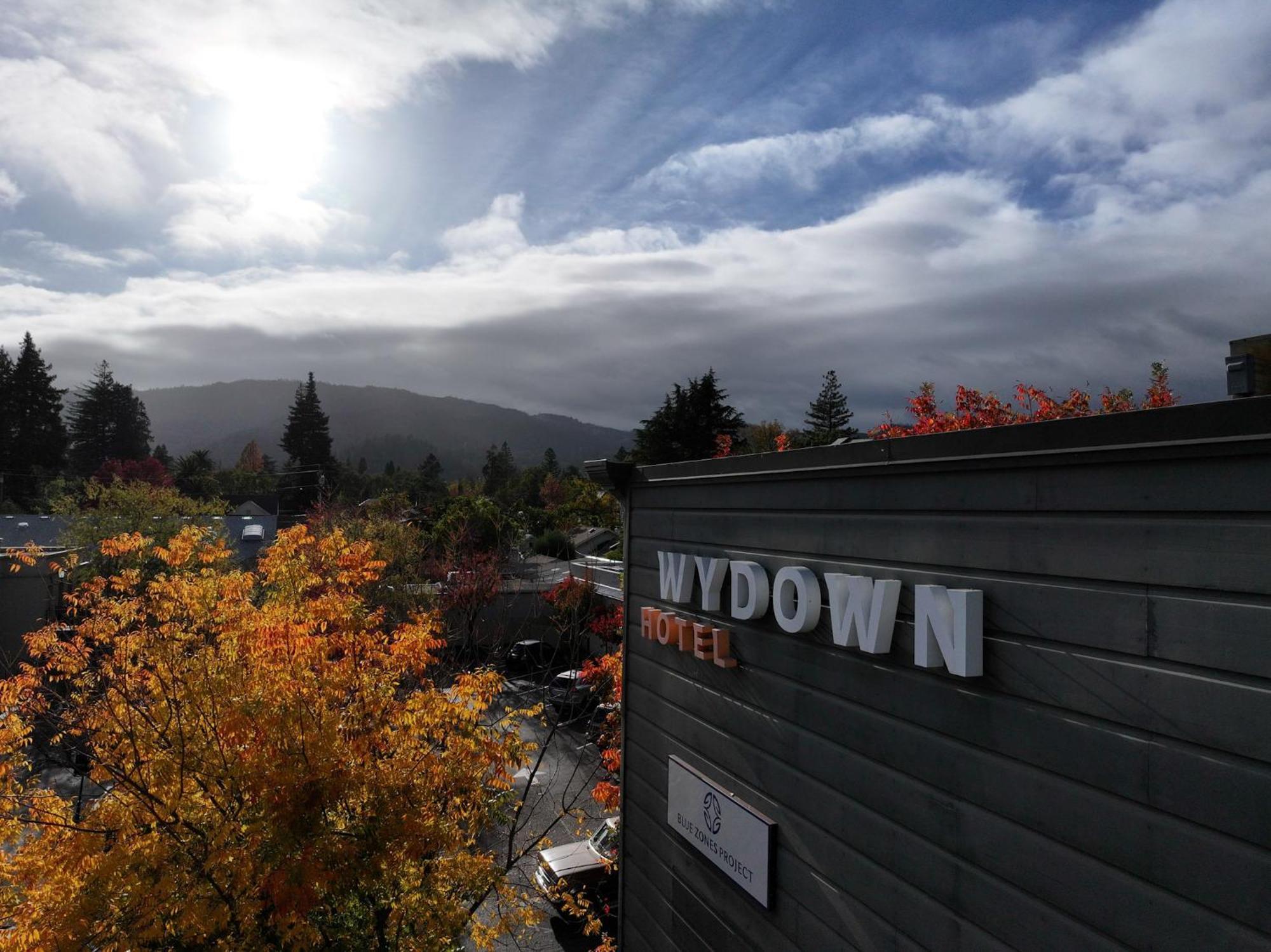 Wydown Hotel Сент-Хелина Экстерьер фото